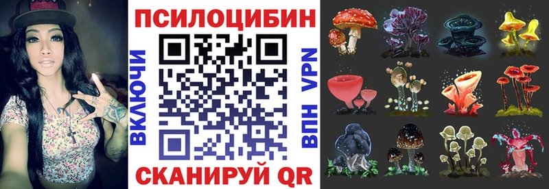 МЕГА зеркало  закладки  Грозный  Галлюциногенные грибы мухоморы 